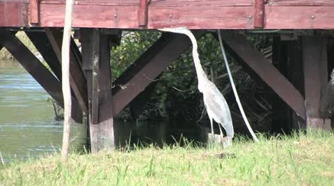 Cuba, Landscape Видео 22109132