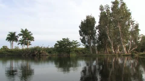 Cuba, Landscape Video stock 22109179