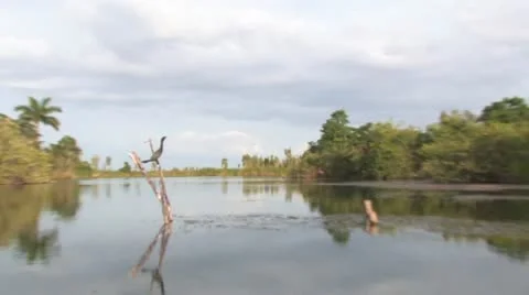 Cuba, Landscape Видео 22109202