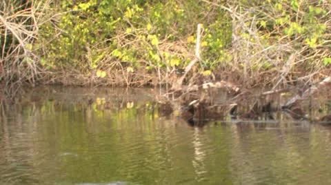 Cuba, Landscape Stockbeeldmateriaal 22109315