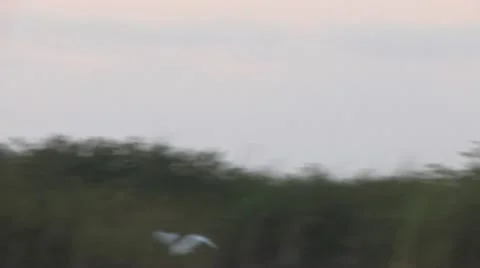 Cuba, Landscape Видео 22109421