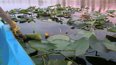 Cuba, Landscape Видео 22109434