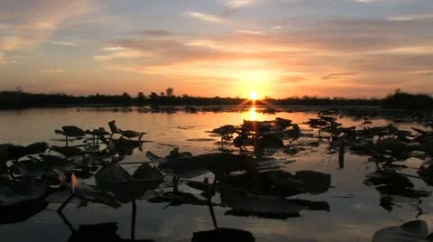 Cuba, Landscape Vídeos de archivo 22109475