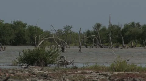 Cuba, Landscape Stock-Footage 22109570