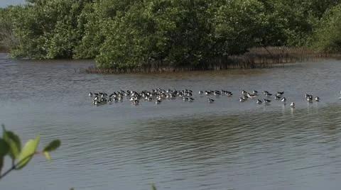 Cuba, Landscape Vídeos de archivo 22109651