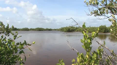 Cuba, Landscape Video stock 22109677