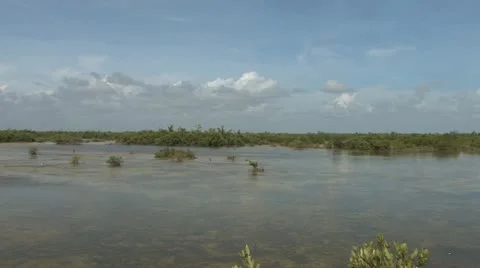 Cuba, Landscape Видео 22109694