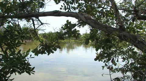 Cuba, Landscape Видео 22109766