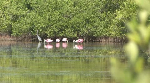 Cuba, Landscape Video stock 22109806