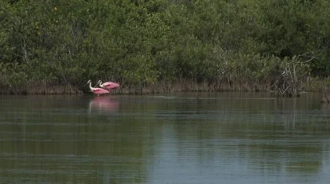 Cuba, Landscape Видео 22109852