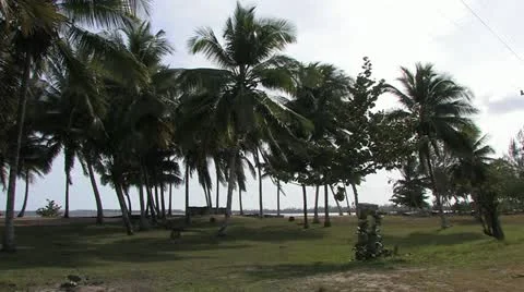 Cuba, Landscape 動画素材 22110104