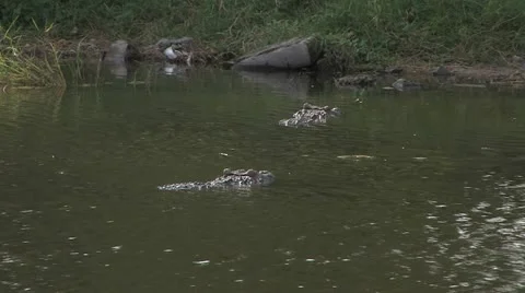 Cuba, Landscape Видео 22110292