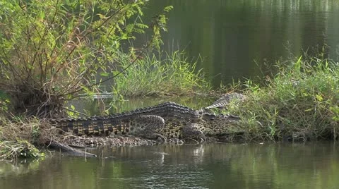 Cuba, Landscape Видео 22110308