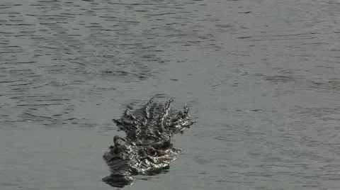 Cuba, Landscape Видео 22110387