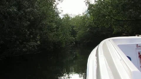 Cuba, Landscape 動画素材 22110893