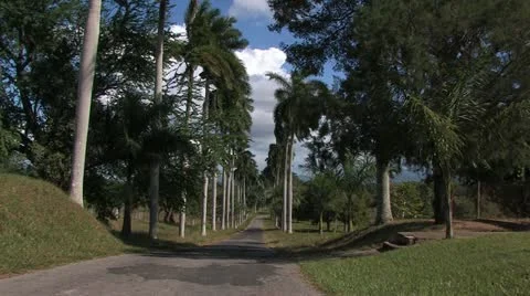 Cuba, Landscape Stockbeeldmateriaal 22110978