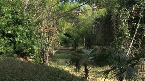 Cuba, Landscape 스톡 동영상 22111187