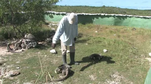Cuba, Landscape 库存影片 22111564