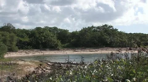 Cuba, Landscape Video stock 22111854