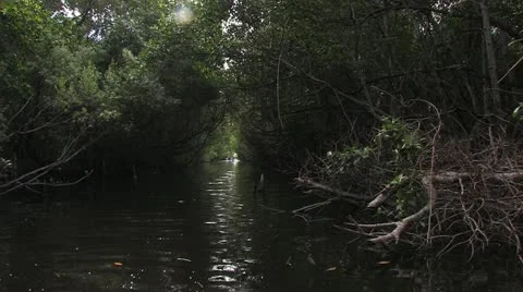 Cuba, Landscape Видео 22111896