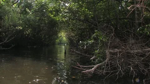 Cuba, Landscape Видео 22111898