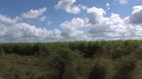 Cuba, Landscape Видео 22112272