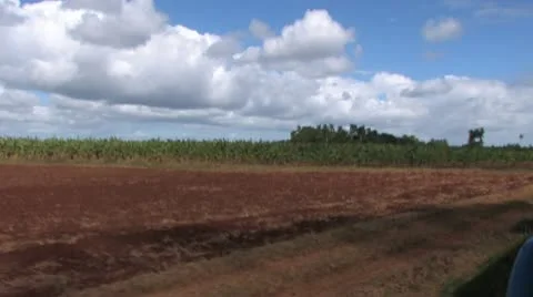 Cuba, Landscape Видео 22112294