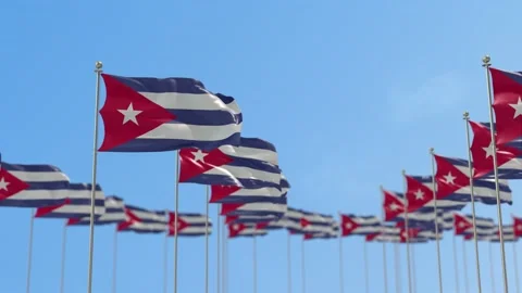 Cuba Row Of Flags 3D Animation Stock-Footage 148651989