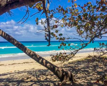 Cuba in summertime on the beach Stock Photos