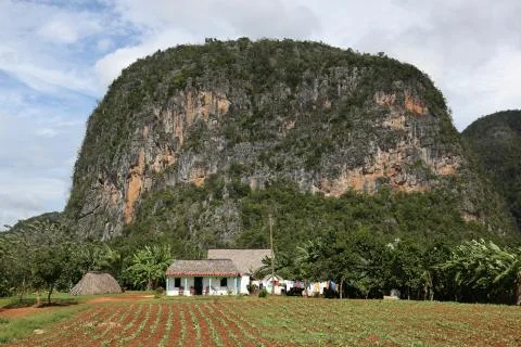 Cuba, Vinales Valley Foto stock