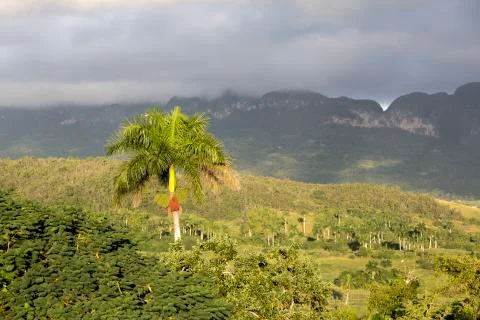 Cuba, Vinales Valley Stock Photos