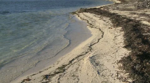 Cuban Beach Stock-Footage 2871101