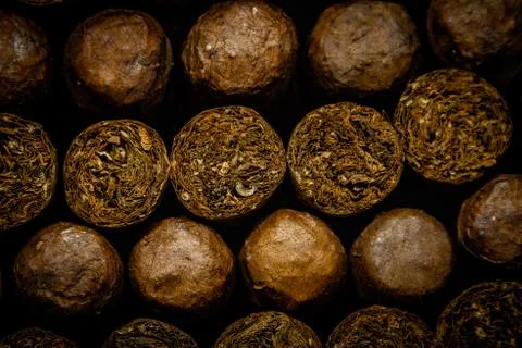 Cuban Cigars close up Stock Photos