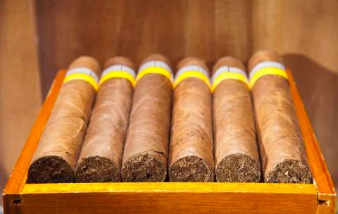 The Cuban cigars, hand made Stock Photos