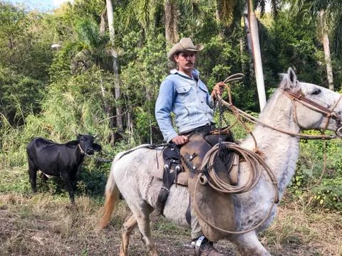 Cuban Cowboy Stock Photos
