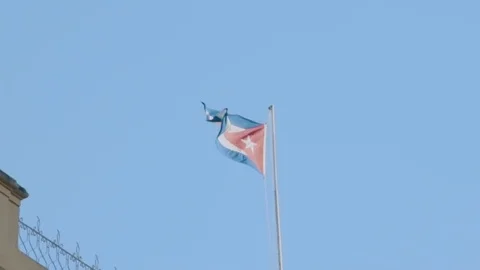 The Cuban flag. Stock Footage 72493102