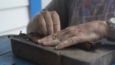 Cuban man making handmade cigars Stock Footage 113336532