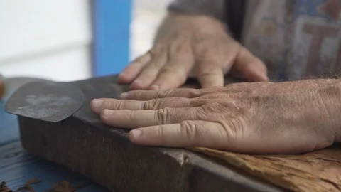 Cuban man making handmade cigars Stock Footage 113336562