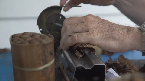 Cuban man making handmade cigars Stock Footage 113336758