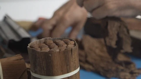 Cuban man making handmade cigars Stock Footage 113336849
