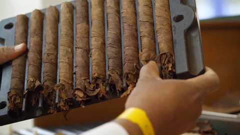 Cuban man rolling cigars, couple of cigars in the box close shot 5 Stock Footage 91514404