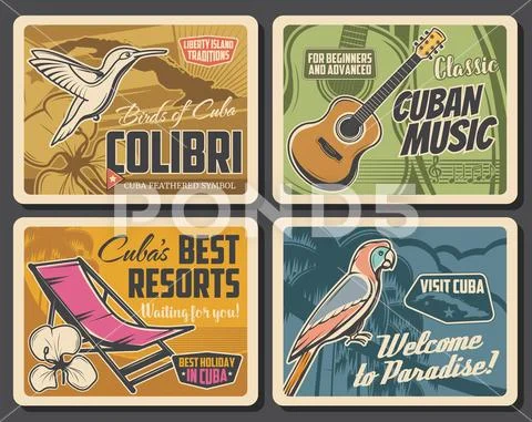 Cuban map, royal palm and parrot, guitar, mariposa Stock Illustrationen