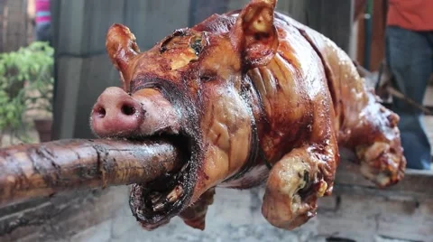 Cuban Pig Roasting on Spit Stock-Footage 62937545