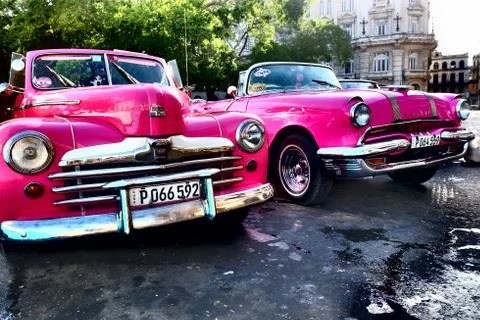Cuban pink classics Stockfoto's