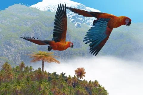 Cuban red macaw Stock Illustration