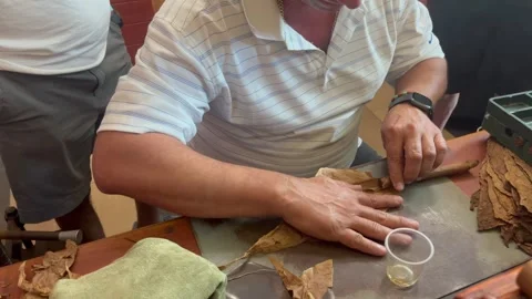 Cuban torcedor making a cigar Stock-Footage 273256868