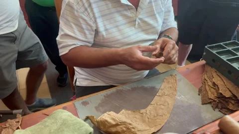 Cuban torcedor making a cigar Stock Footage 273256934