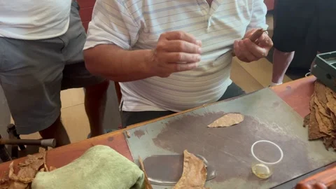 Cuban torcedor making a cigar 스톡 동영상 273256983