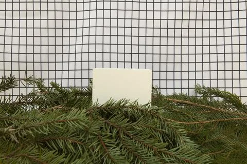 Cube among fir branches on a grid background Stock Photos