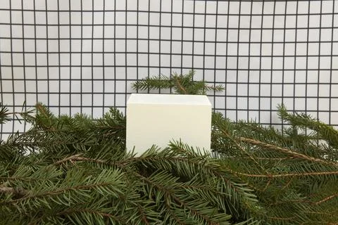 Cube among fir branches on a grid background Stock Photos